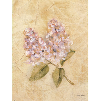 " Lilac On Cracked Linen Crop " by Cheri Blum