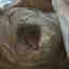 Photos des clients 1 de 1