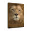 Lion Of Judah - Wrapped Canvas Print-1289599964