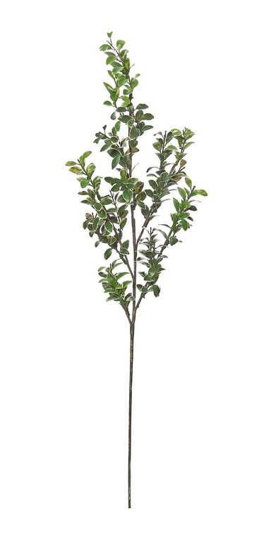 32" Green and Cream White Artificial Button Leaf Floral Crafting Floral Spray
