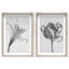 Peeking Flowers Set Set by Oliver Gal-702774601-702774611