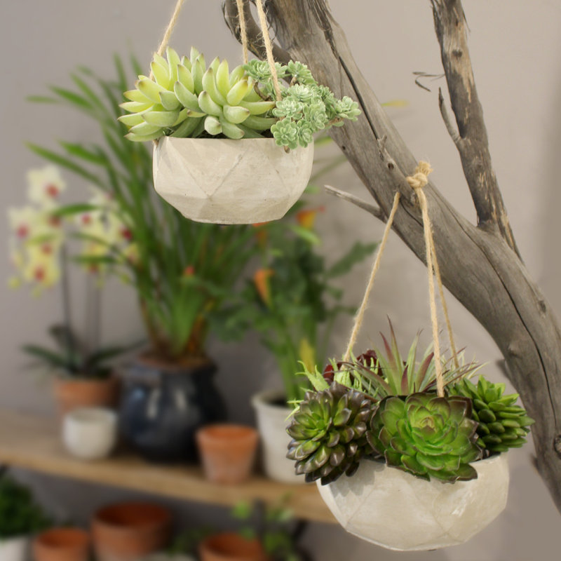 Sheron Hanging Planter