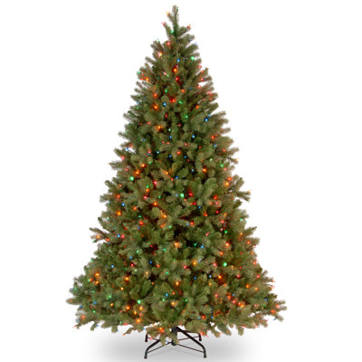 Downswept Douglas Fir Tree with Lights