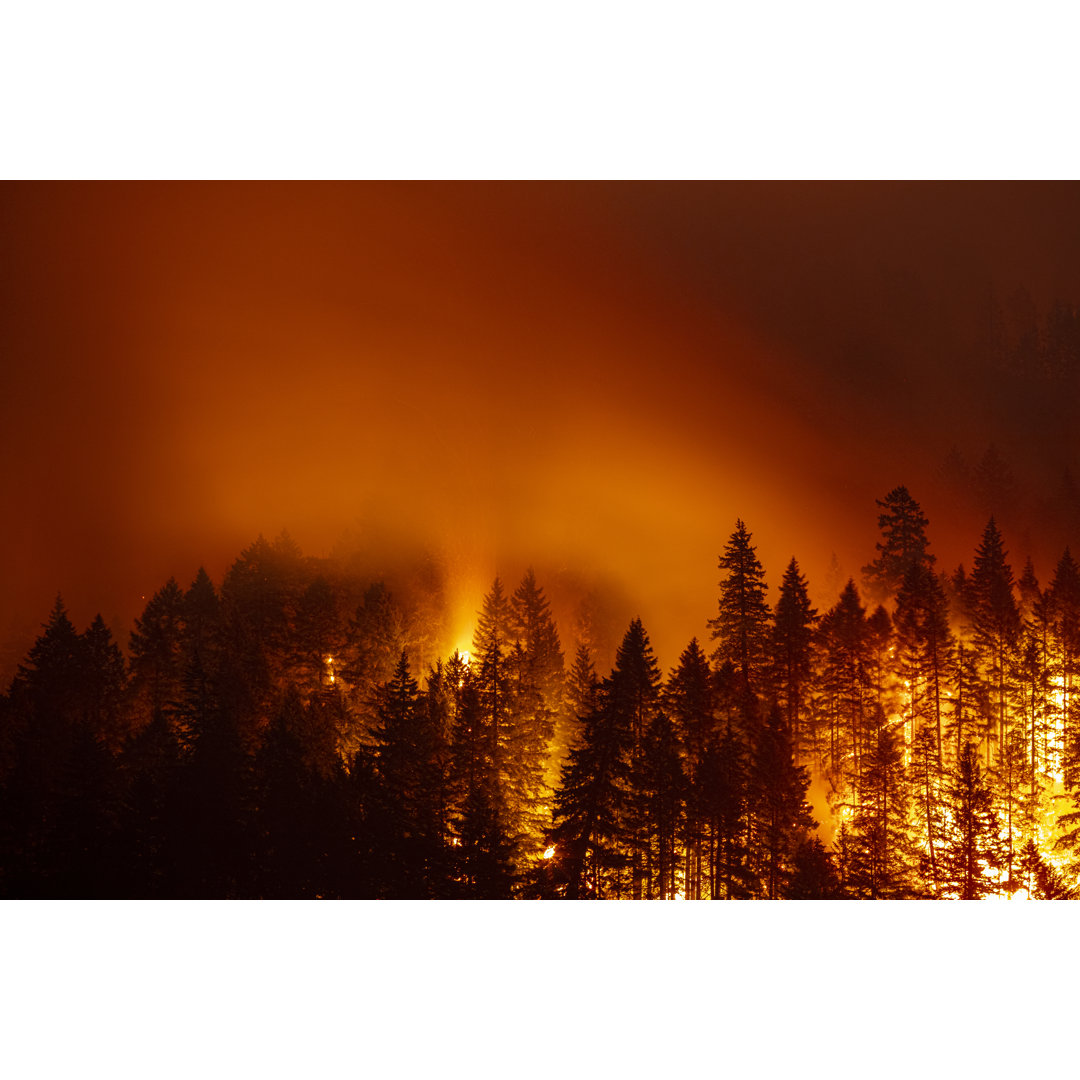 Eagle Creek Fire - Kunstdrucke auf Segeltuch