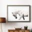 Neutral Stallion - Photographie avec cadre photo-2068235282-2068235373
