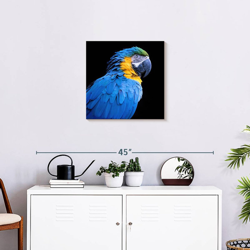 Brampt Neotropical Blue Macaw, 20" H x 20" W