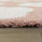 Primland Cloud Shag Area Rug-943361344-1029062351