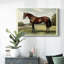 Animaux, paysage, série CCVII-618512959
