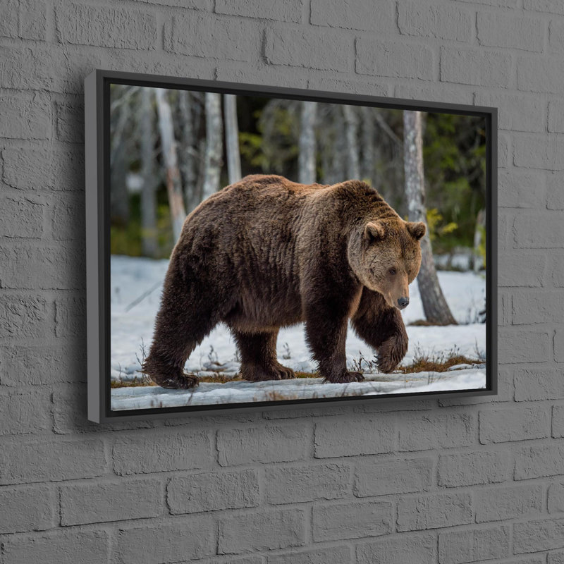 Grand grand imprimé d'ours brun sur toile de coton, idéal pour une décoration artistique ou un cadeau de mariage unique, Noir