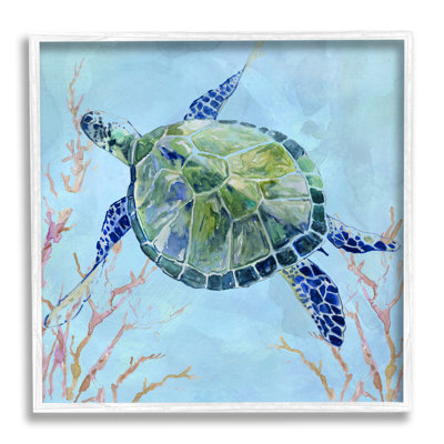 " Deep Sea Aquatic Tortoise Orange Kelp Water Turtle "