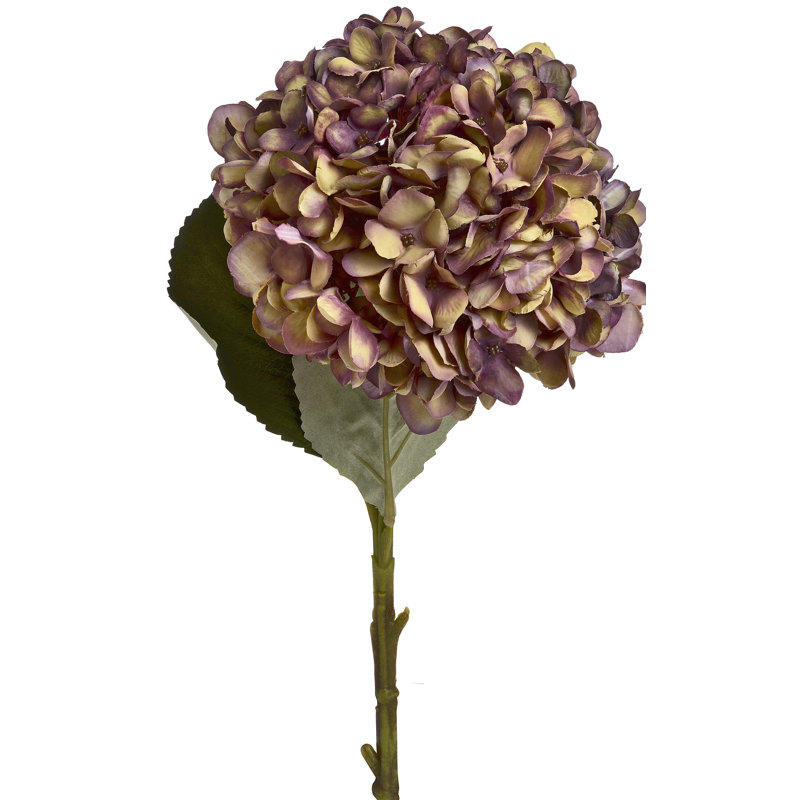 Hydrangea Arrangement