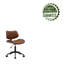 Ergonomic Desk Chair-1060114598
