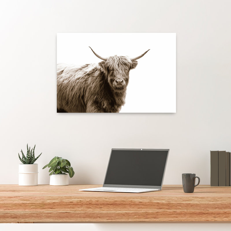 Highland Portrait, art de portrait de vache contemporain, H 24 po x l 16 po