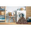 Tapis traditionnel 100% lavable à la machine 4224-1663599946