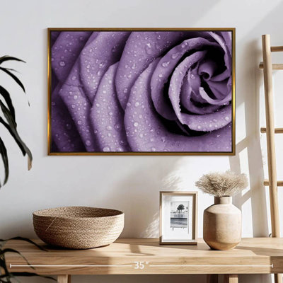 Dews On Violet Rose