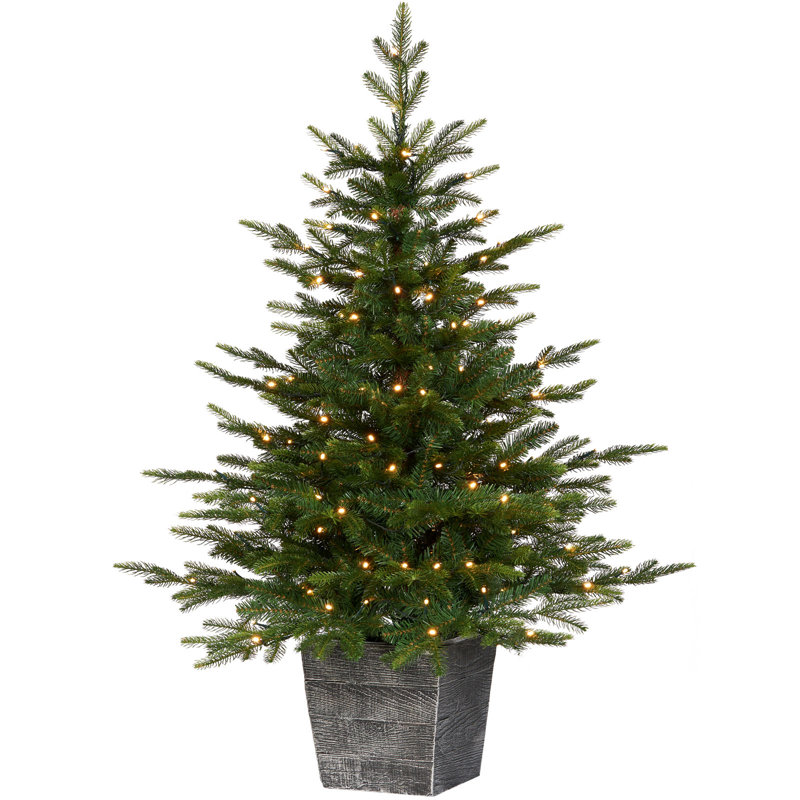 4' H Lighted Artificial Fir Christmas Tree