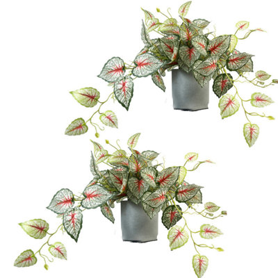 2Pack de plantes avec pot pour la décoration d'intérieur