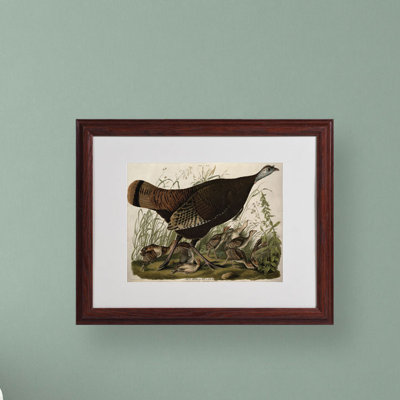 Modern & Contemporary Painting Print