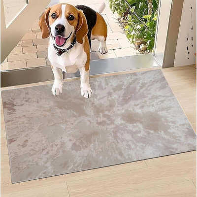 Area Rug