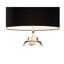 Dressage Lamp
