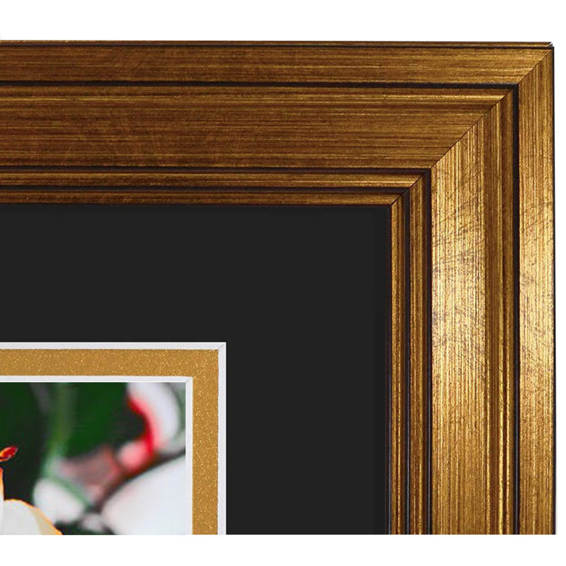 Cadre photo Stoddard 11 x 14, Or foncé