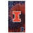 Illinois Fighting Illini