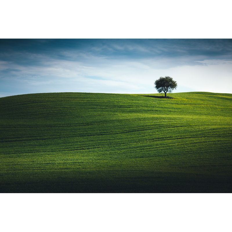 Wheat Field in Tuscany by Borchee, 20" H x 30" W