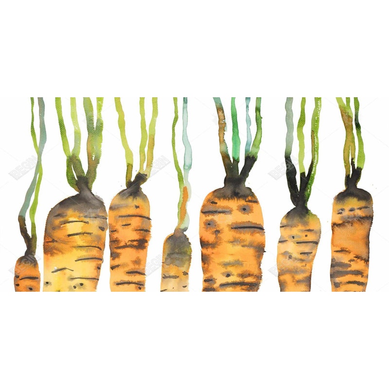 Aquarelle, carottes, reproduction sur toile