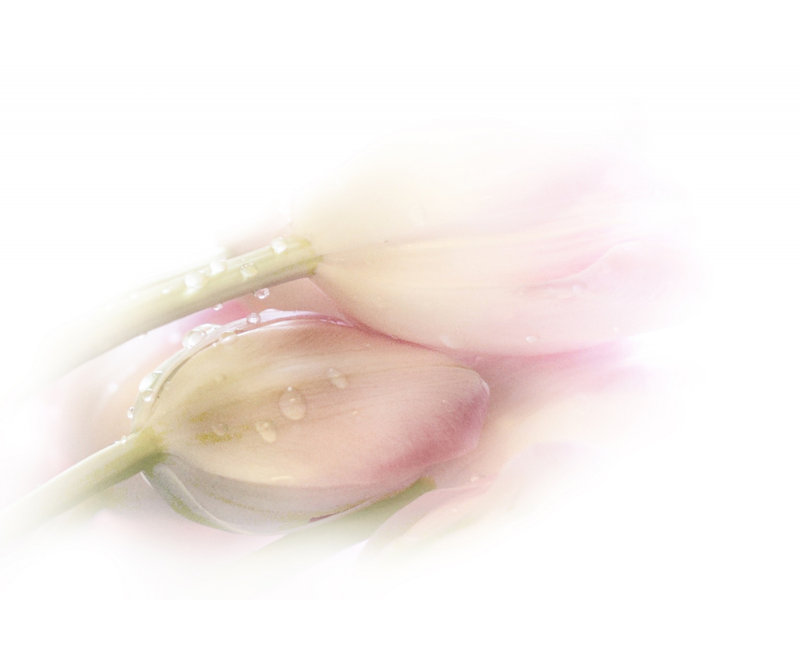 Wrapped Canvas Print, 76.2 cm H x 50.8 cm W