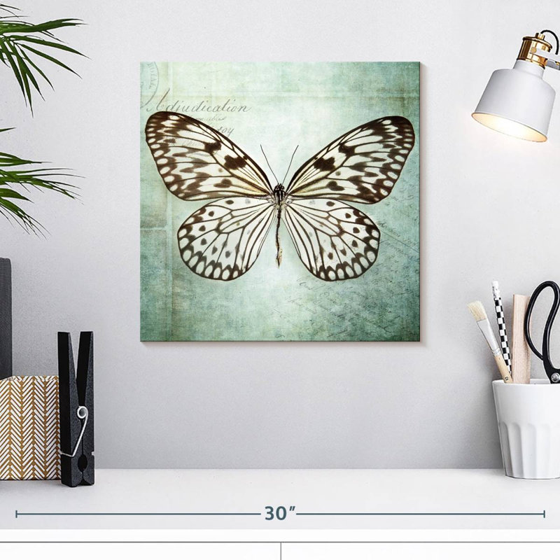 Papillon français VI, H 16 po x l 16 po