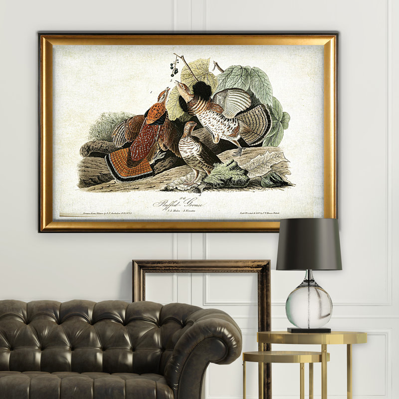 « volière drawing v », impression, Cadre doré, H 27 po x l 39 po x P 2 po, Pas de tapis