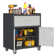 Ishia 29.5” W Metal Garage Storage Cabinet with Adjustable Shelves - Durable Tool Cabinet.