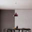 Cannady 1 - Light Pendant-162665917