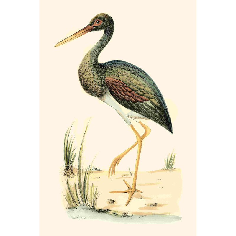 Oiseaux d'eau II, H 18 po x l 12 po