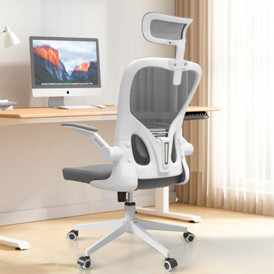 Nykeesha Ergonomic Office Chair, Home Office Desk Chairs with Lumbar Support, 3D Headrest and Flip Up Arms, Rockable Swivel by Inbox Zero