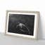 Sea Turtle - Picture Frame Painting Print-56705583-56705586