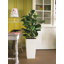 Cubico Planter Box-1342088424-1342088420