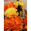 Arrangement de fleurs mixtes-17956177