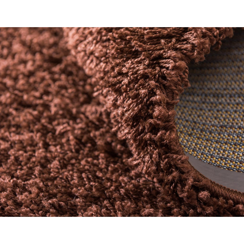 Dejuane Shag Area Rug, Rectangle 152 x 244cm