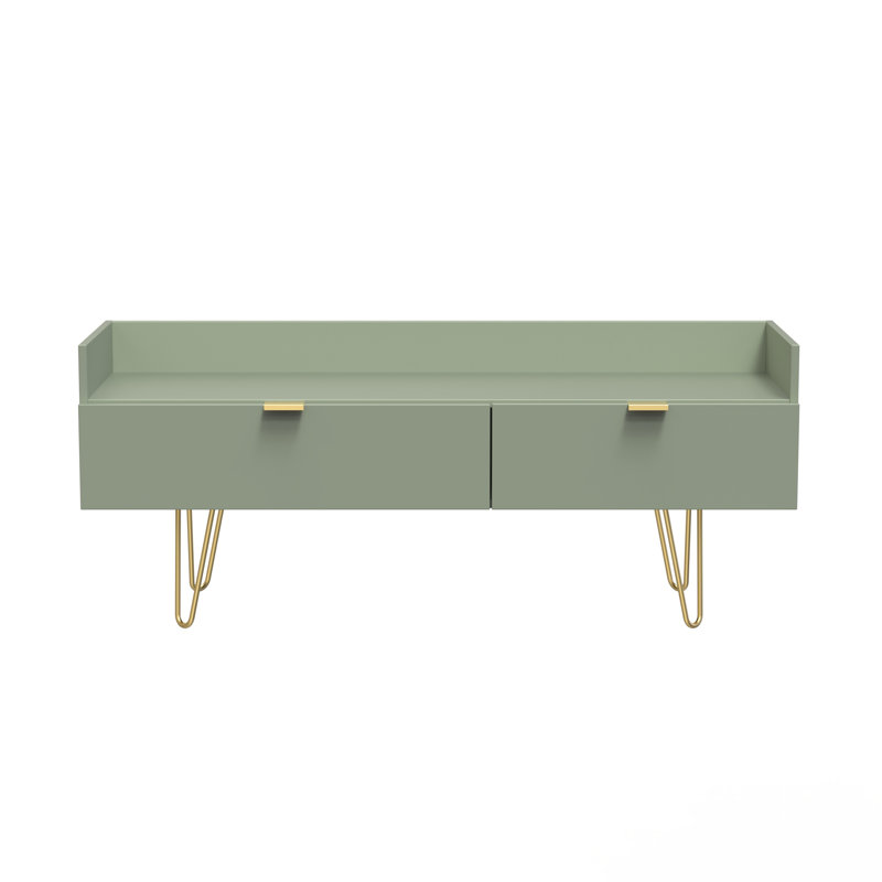 Taeyah 2 Drawer TV Unit, Green