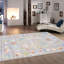 Oriental Area Rug in Gray