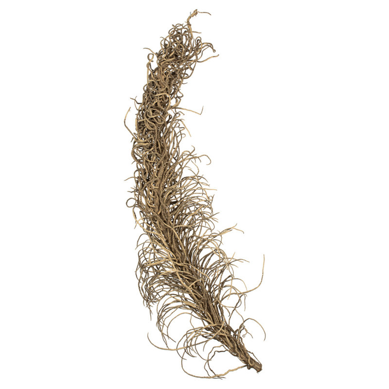 Faux Medusa Branch