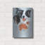 "Boarder Collie" par Barbara Keith-1915160404