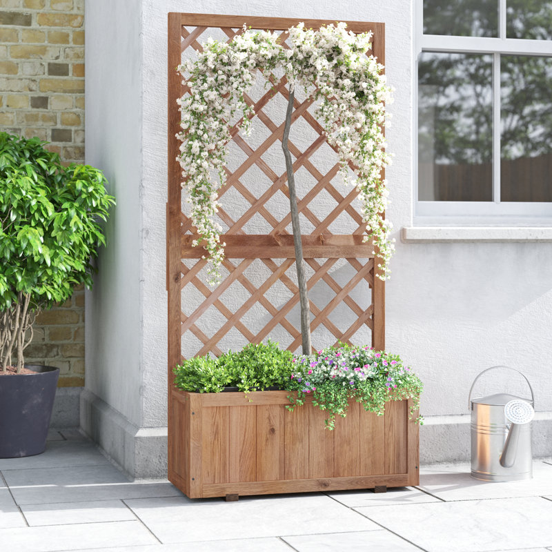 Ariel Wooden Raised Garden Bed with Trellis and Drain Holes, Orange 