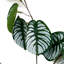 Artificial Foliage Stems 70cm Faux Foliage Plant