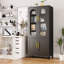 Rectangular Glass and Metal Lockable Iron Cabinet-1407127654