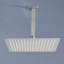 Rain Fixed Shower Head 2.5 GPM GPM-818704756