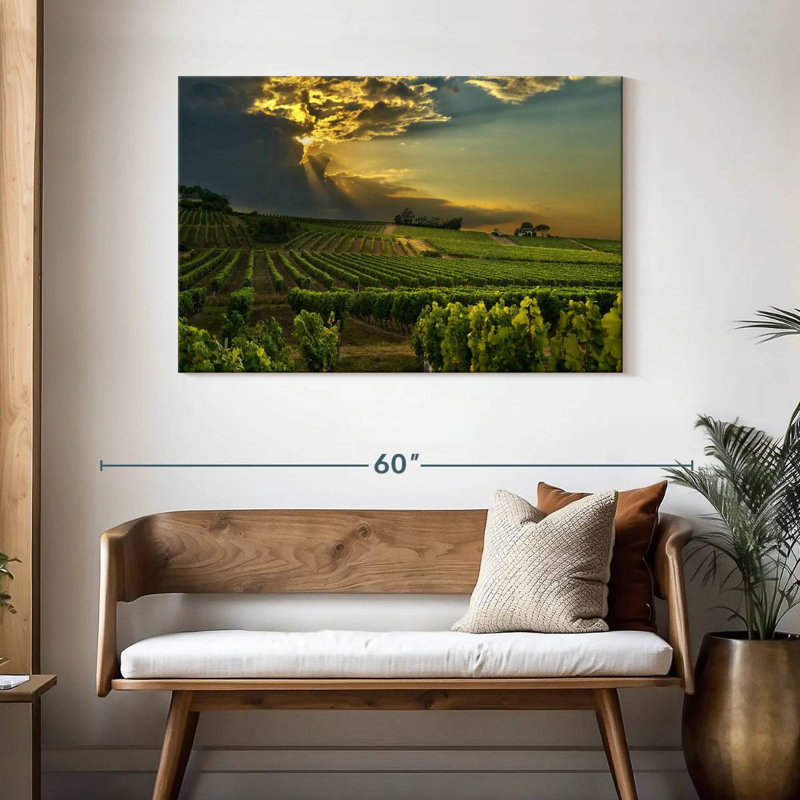 Alvord, vignoble du sud de la France, H 30 po x l 45 po