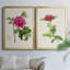 «Pretty Pink Botanicals I», ensemble de 2 reproductions d'art sur toile encadrées-107163657-107163667