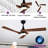 Caprise 52'' Ceiling Fan with LED Lights-951452667-971734227